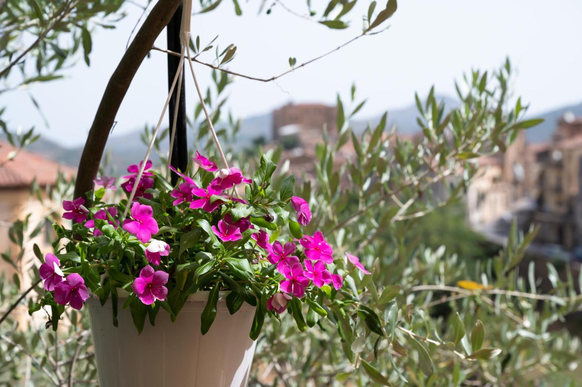 B&B Panorama Castelbuono  Exterior foto